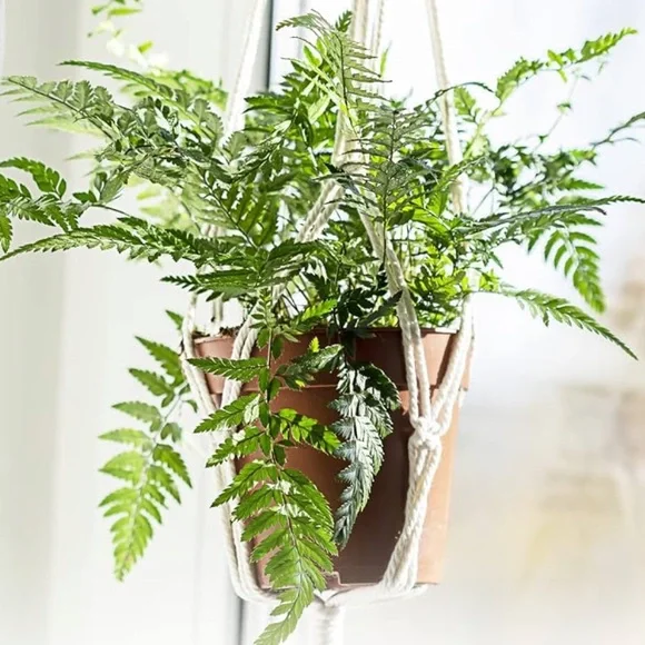 Macrame Plant Hanger with tassel - Picture 2 of 8